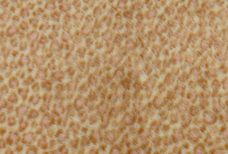 160 mm breiter Kunstnerzstoff mit europäischem Nerzdruck und Leopardenmuster 160 mm breiter Kunstnerzstoff mit europäischem Nerzdruck und Leopardenmuster